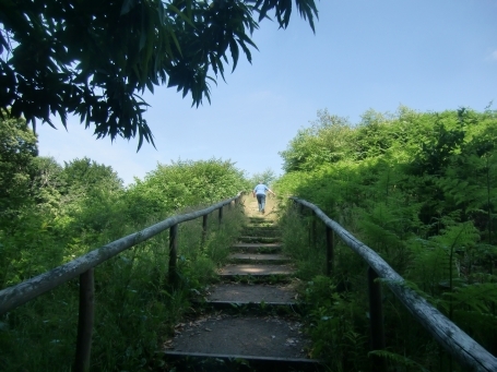 Groesbeek NL : Ortschaft Berg en Dal, Duivelsberg, Wanderweg, De Duivelsberg auch Wylerberg genannt ist ein 76 Meter hoher Hügel.